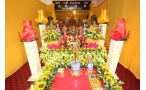 Mô tả ảnh 4