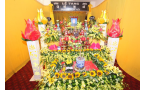 Mô tả ảnh 15